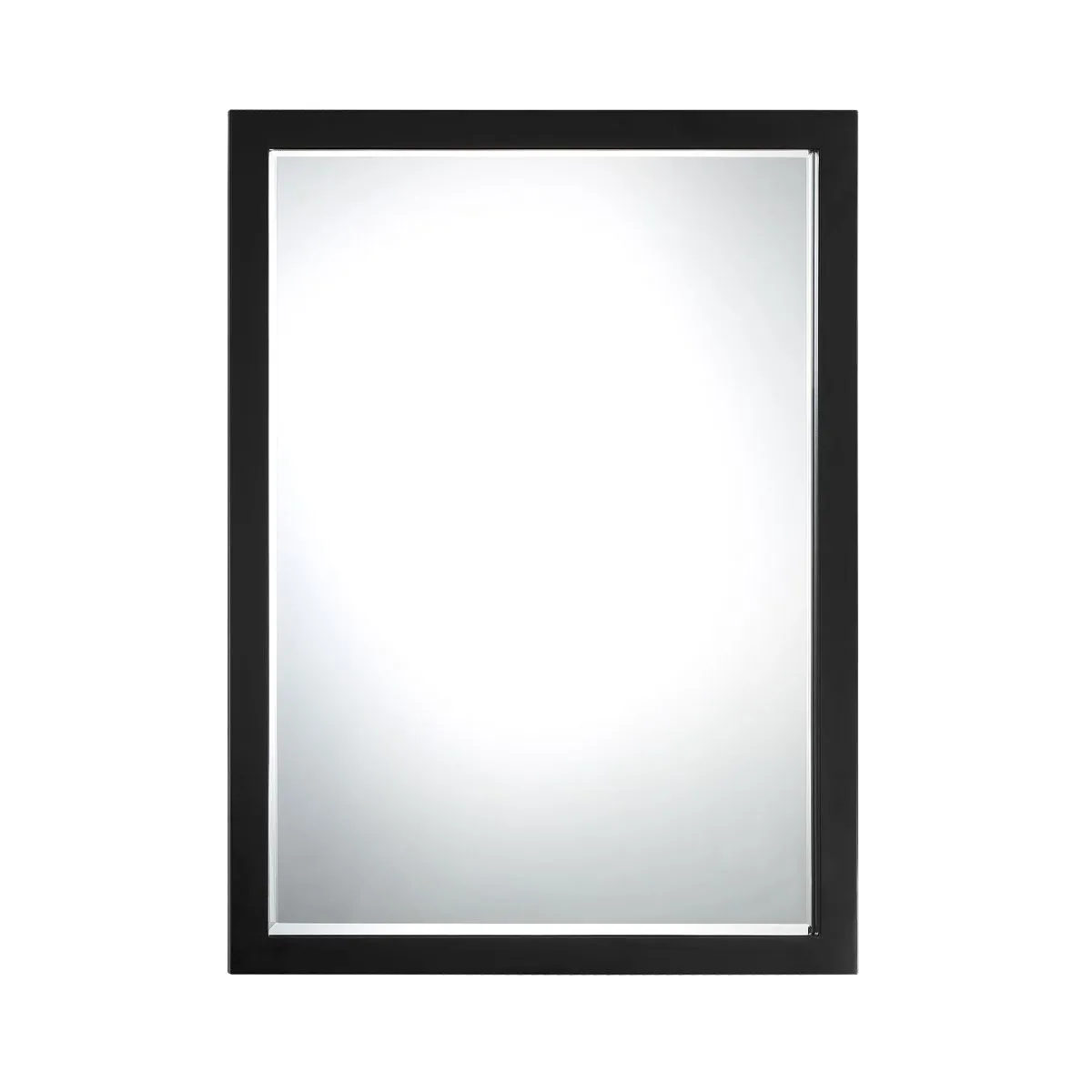 Paradox 33 In. X 24 In. Wall Mirror Black Finish